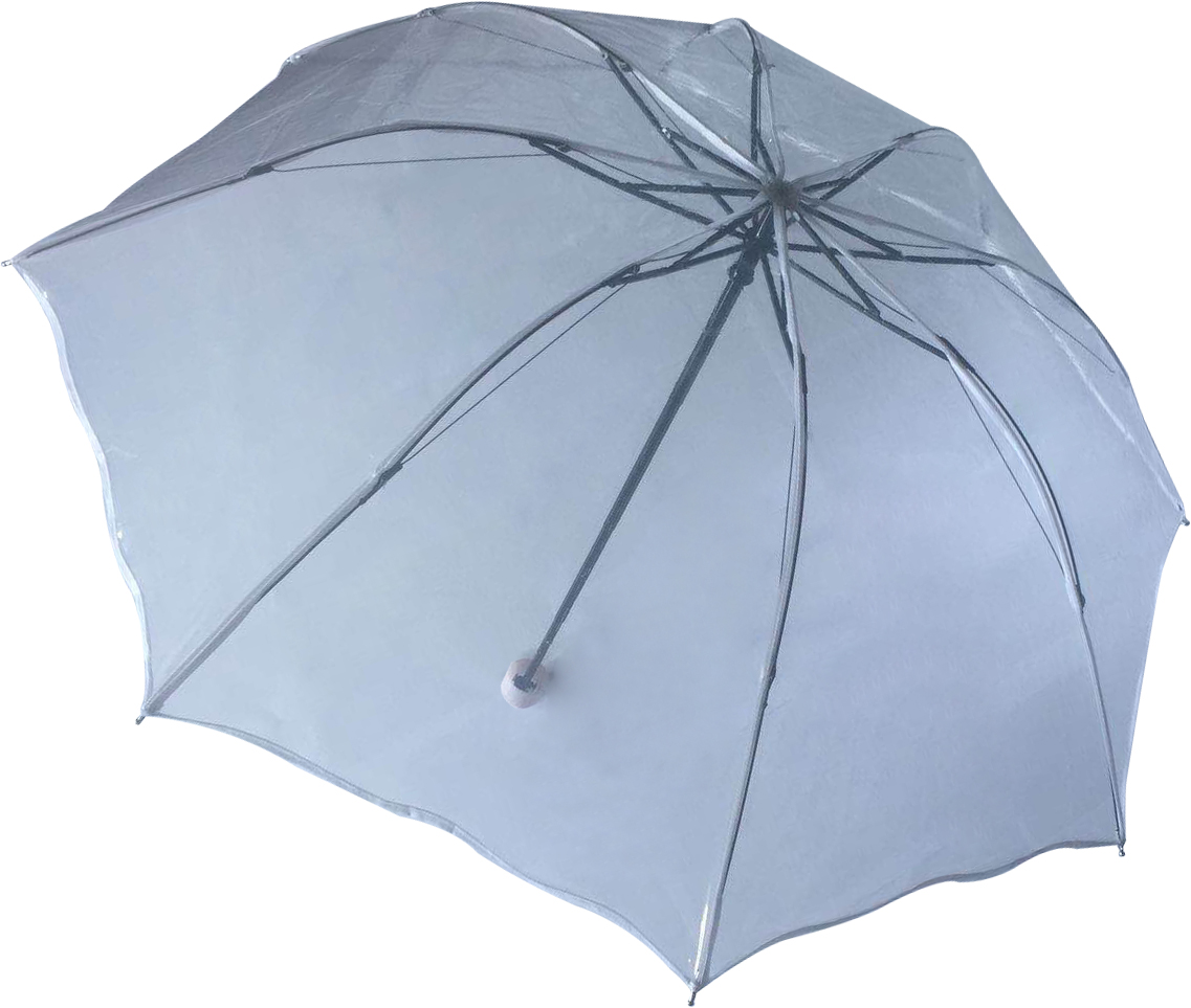 本外观设计产品的名称:伞(1).2.