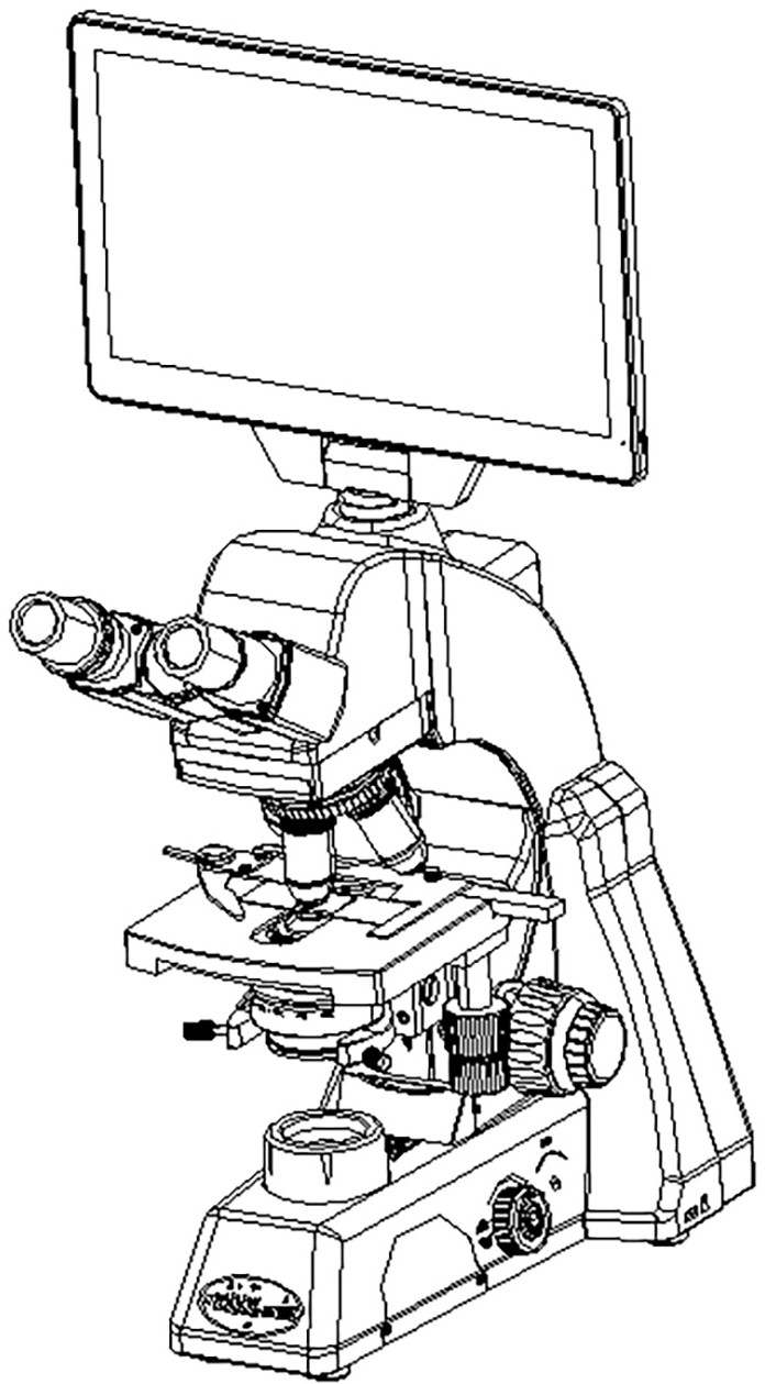扫描电子显微镜简图图片