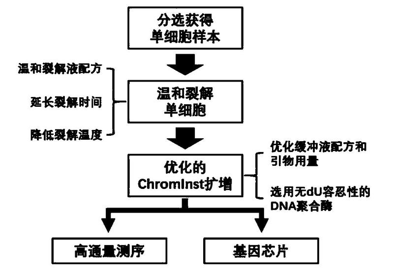 一种针对细胞分选后的单细胞全基因组扩增方法-爱企查