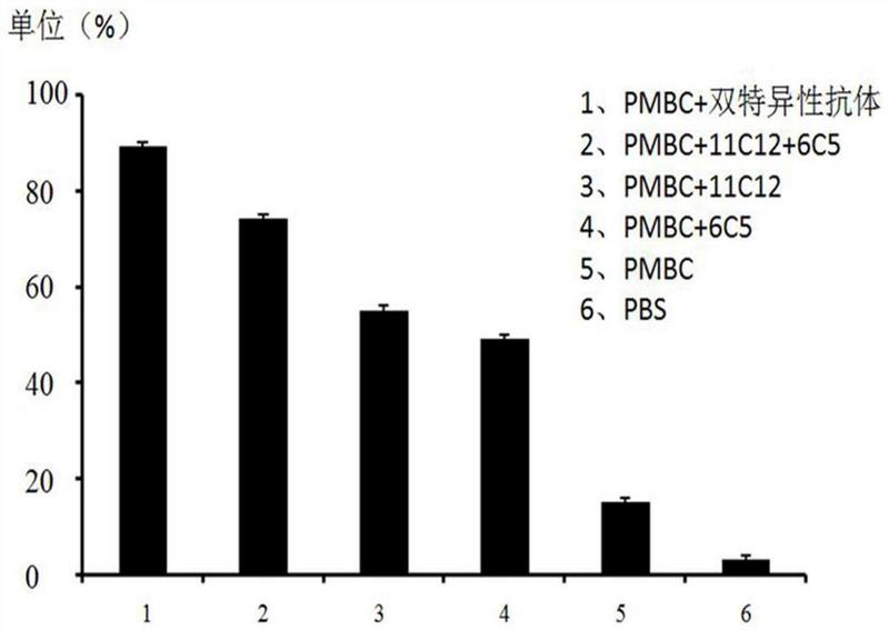 一种抗cd16和cea抗原的双特异性抗体-爱企查