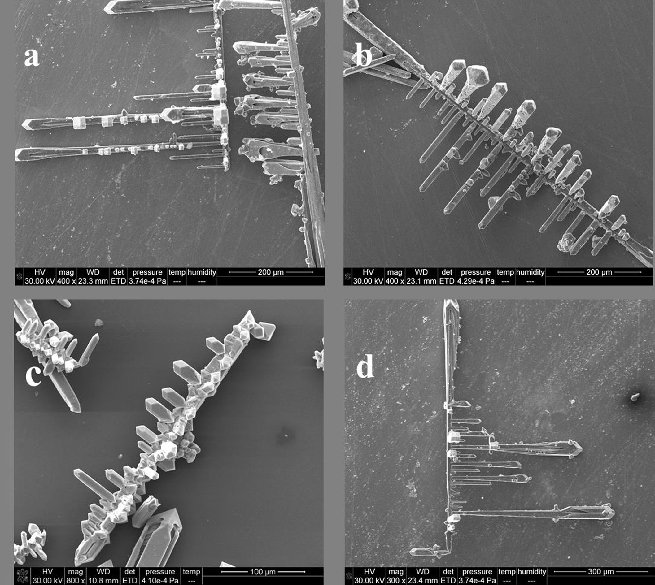 一种氧化亚铜树枝状晶体的制备方法-爱企查