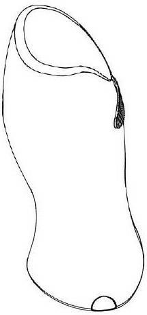 液体鞋油瓶-爱企查