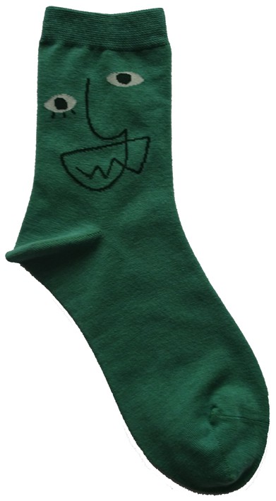 摘要附图摘要1.本外观设计产品的名称:袜子(ds0205).2.