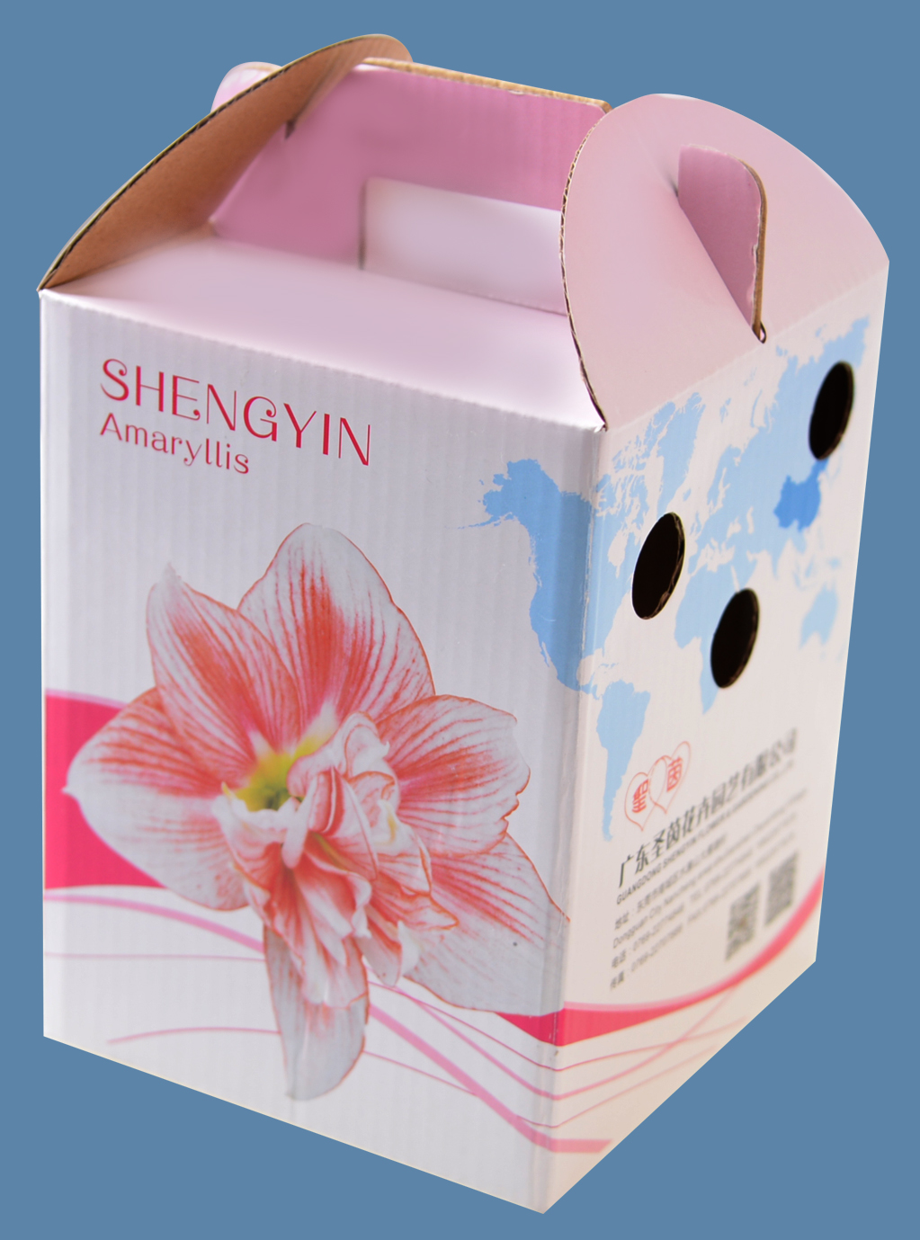 包装盒(圣茵朱顶兰)-爱企查