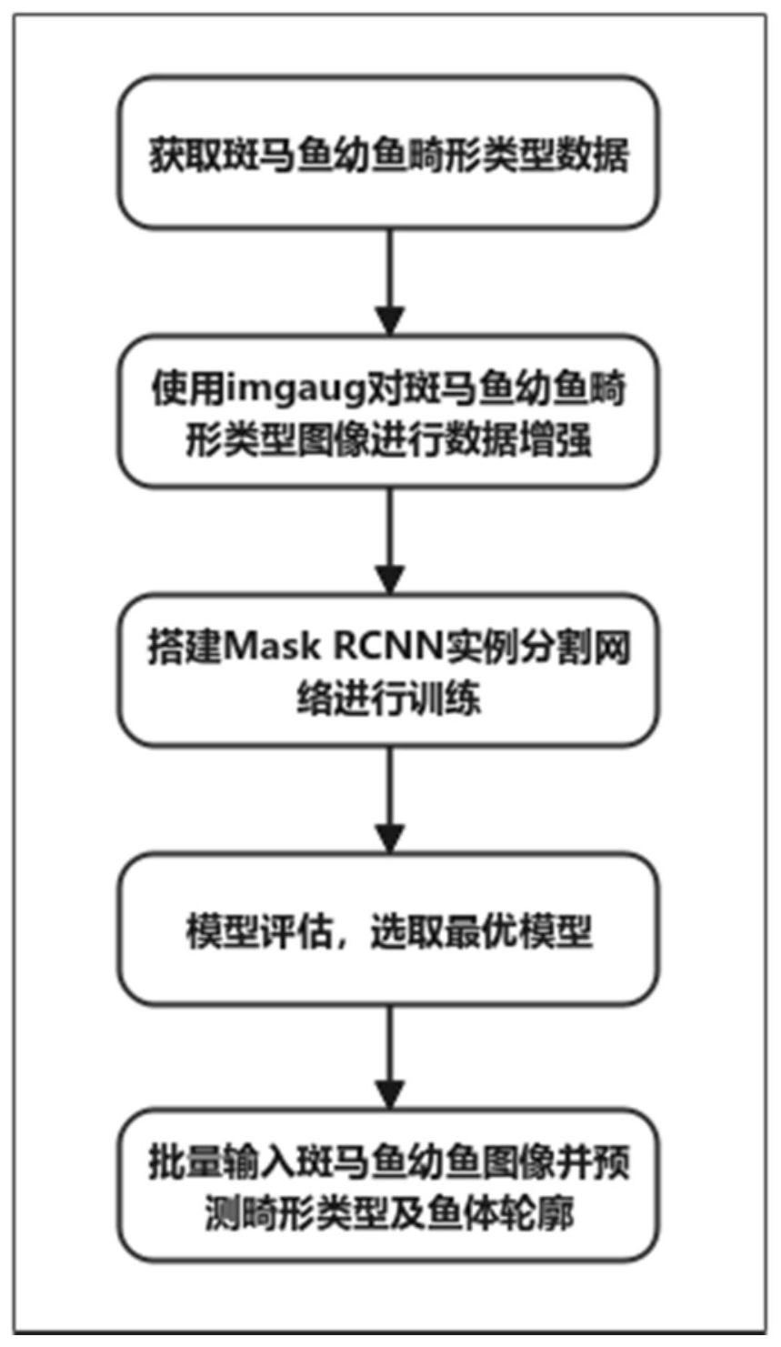 一種基於maskr-cnn的斑馬魚形態學分類方法-愛企查