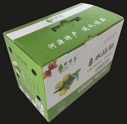 摘要附图摘要1.本外观设计产品的名称:包装箱