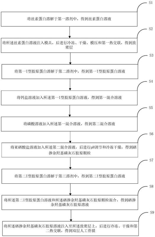 一种双层人工骨膜及其制备方法和应用 - 爱企查