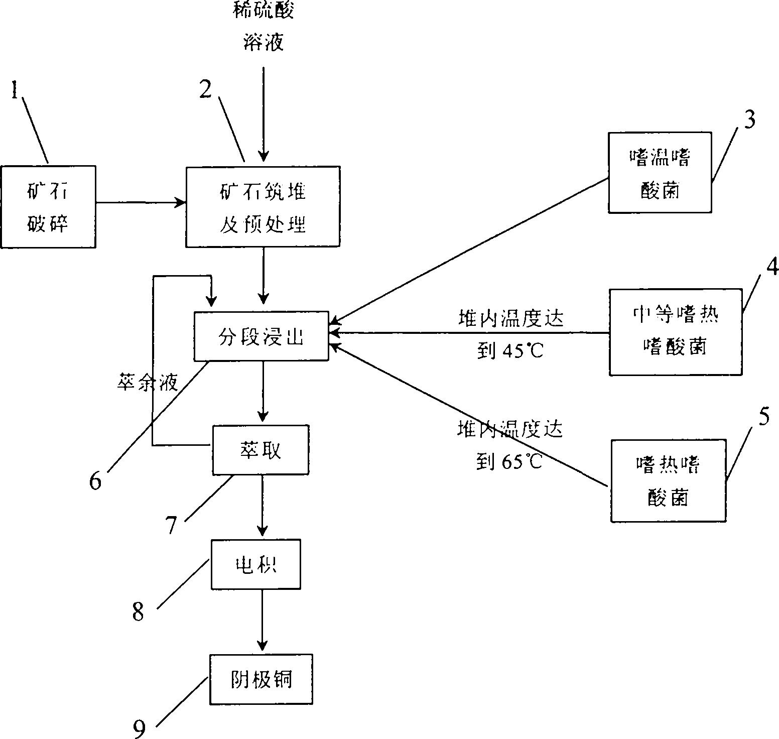 一種嗜熱嗜酸菌及低品位原生硫化銅礦微生物分段浸出工藝-愛企查