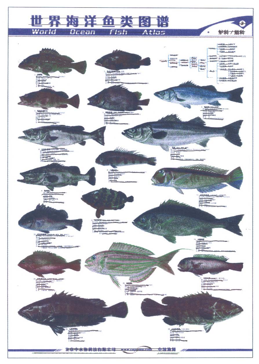 类型外观设计主分类号19-08专利代理人赵会祥专利代理机构济南金迪