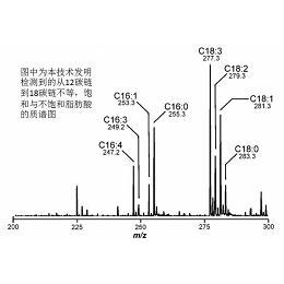 专利详情